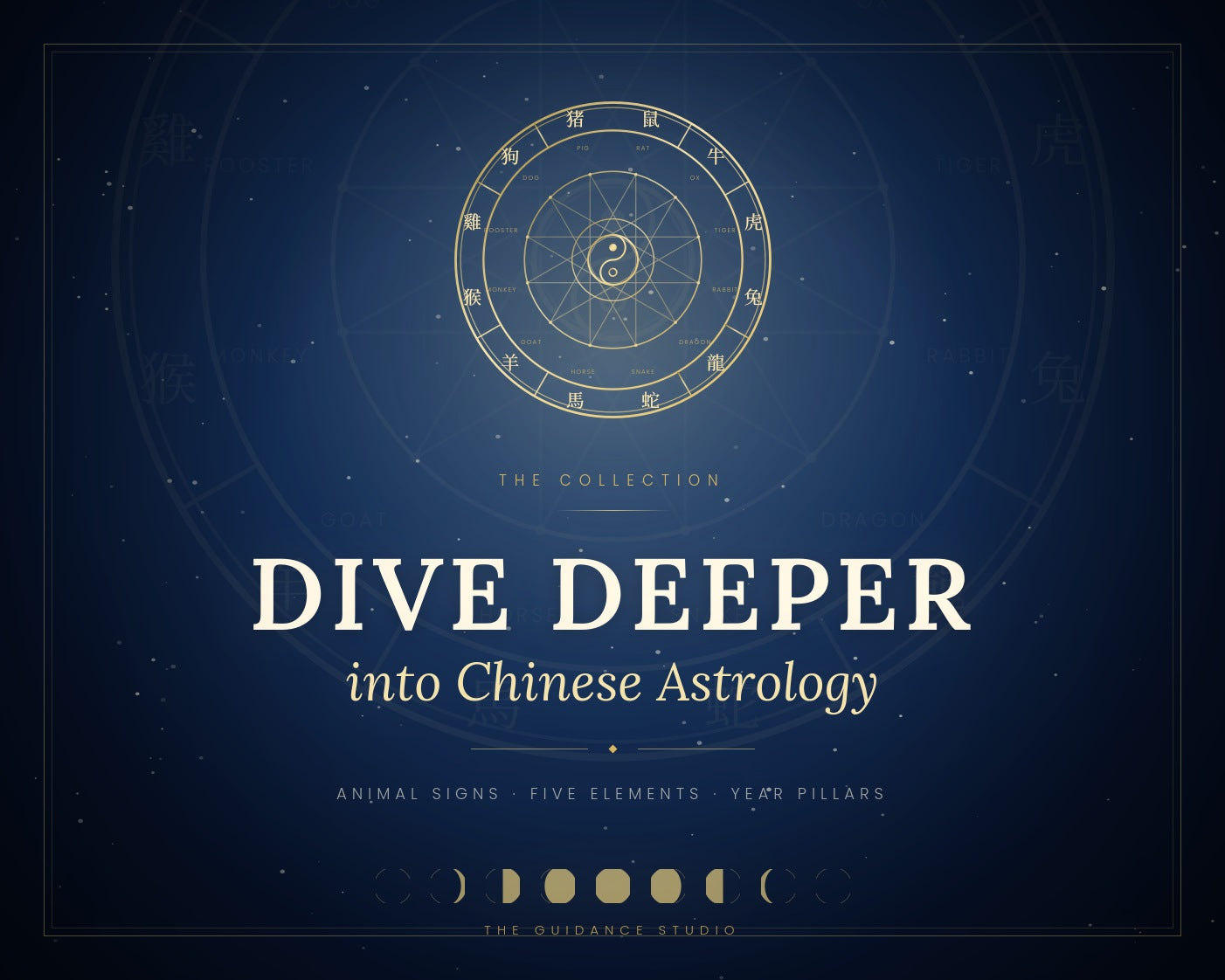 Dive Deeper